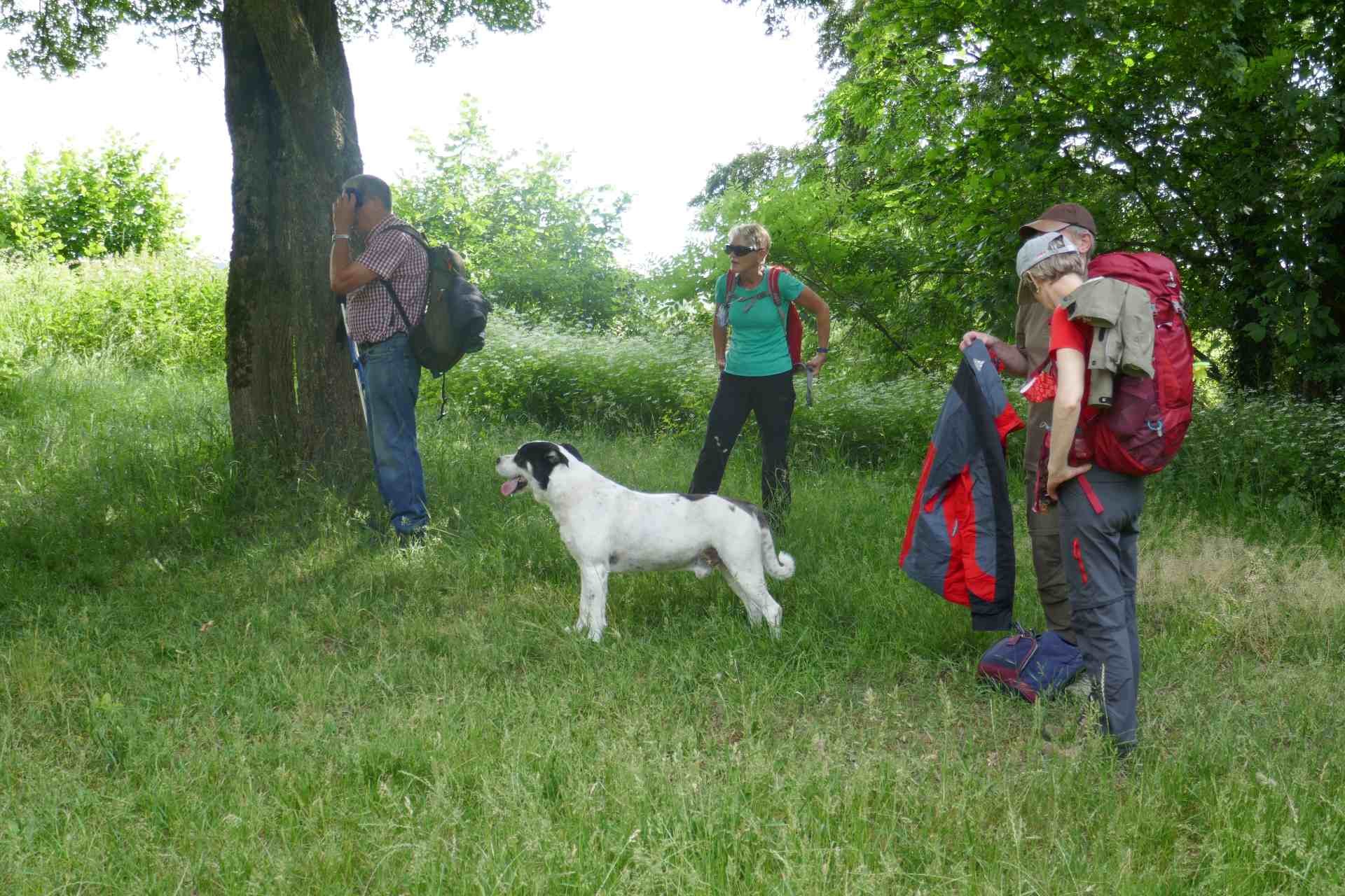 05 Albschäferweg - 2 Tages Wanderung im Juni